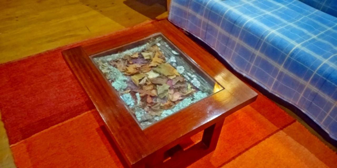 Chale Pouso Da Serra - Casas De Montanha Costilhao Exteriör bild