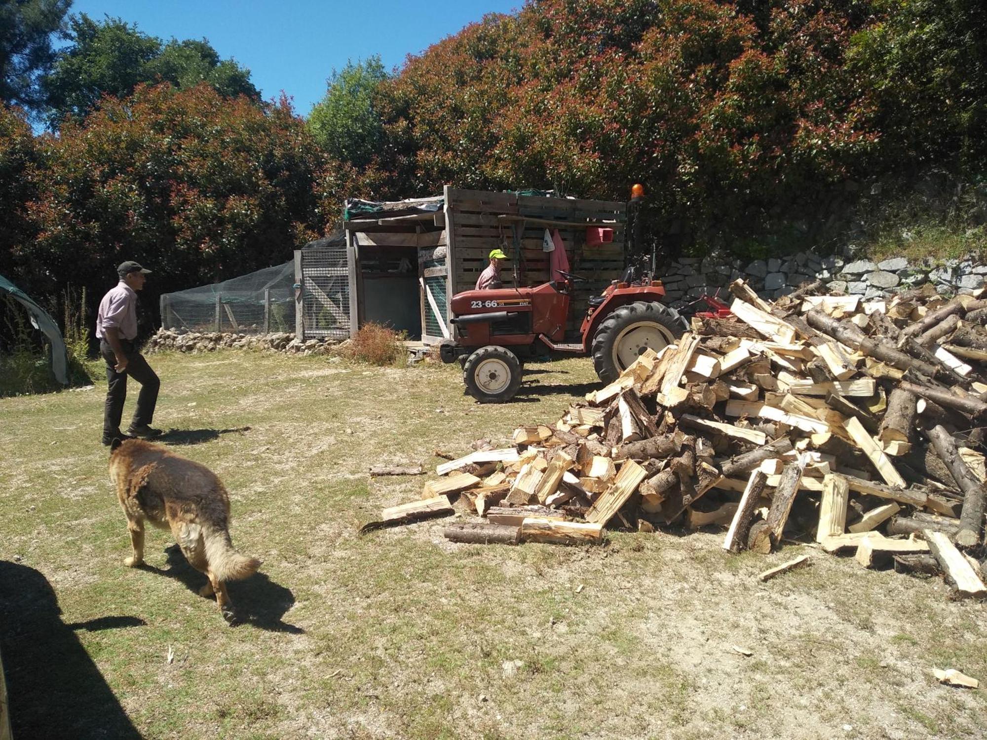Chale Pouso Da Serra - Casas De Montanha Costilhao Exteriör bild