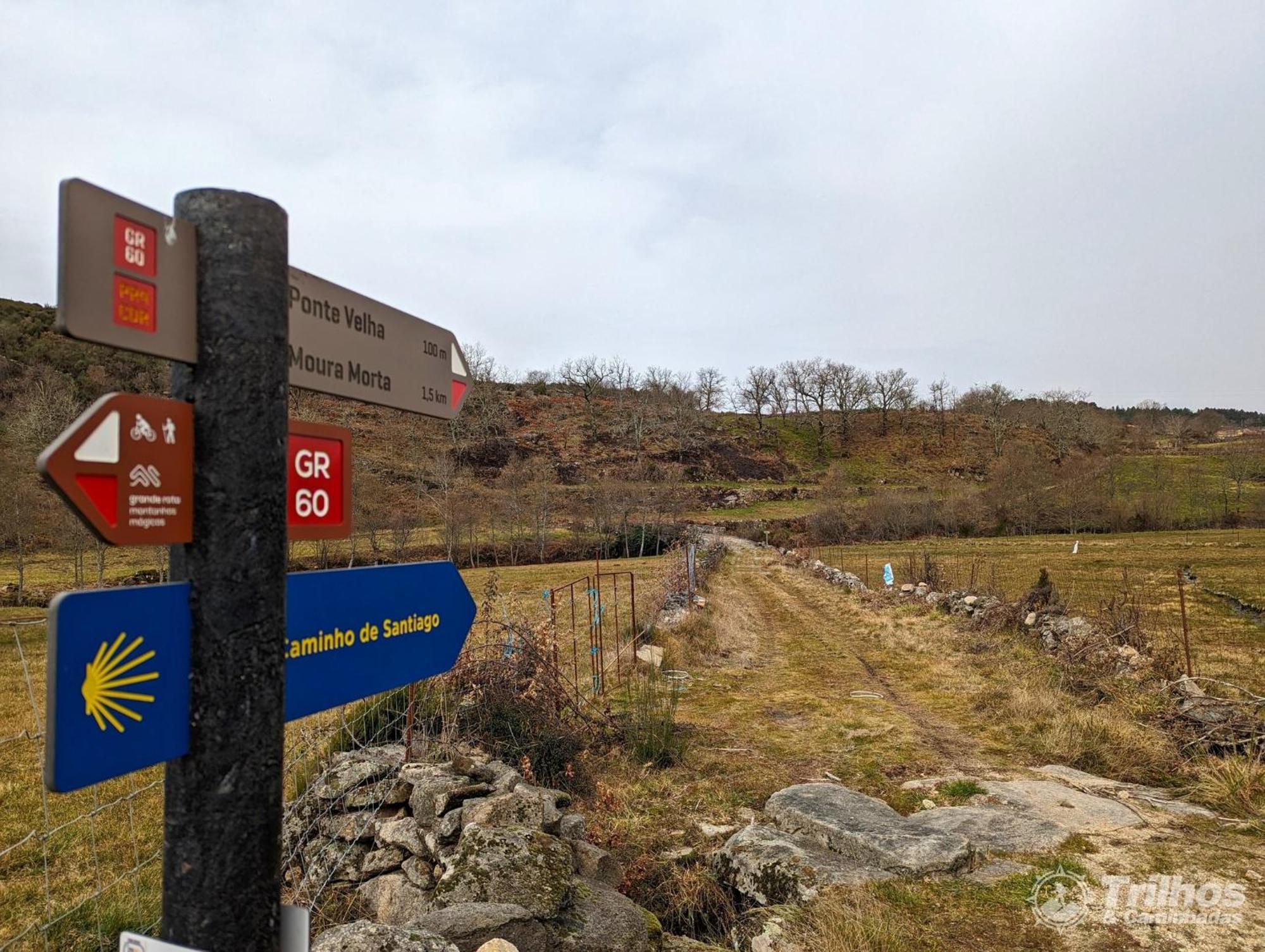 Chale Pouso Da Serra - Casas De Montanha Costilhao Exteriör bild
